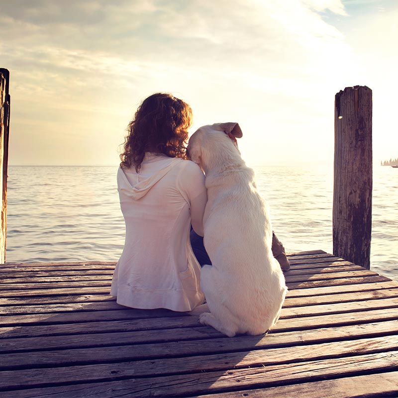 A woman and her best friend A woman and her best friend