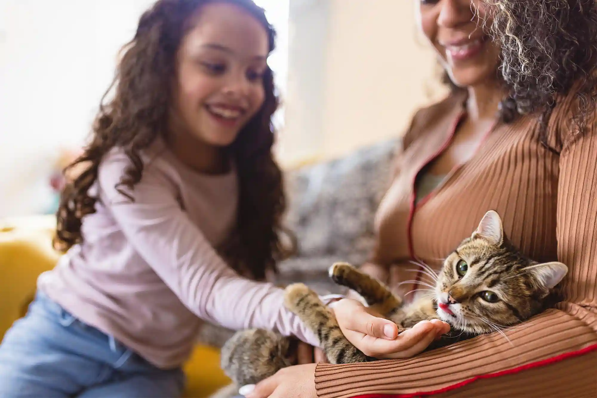 A family with their kitten